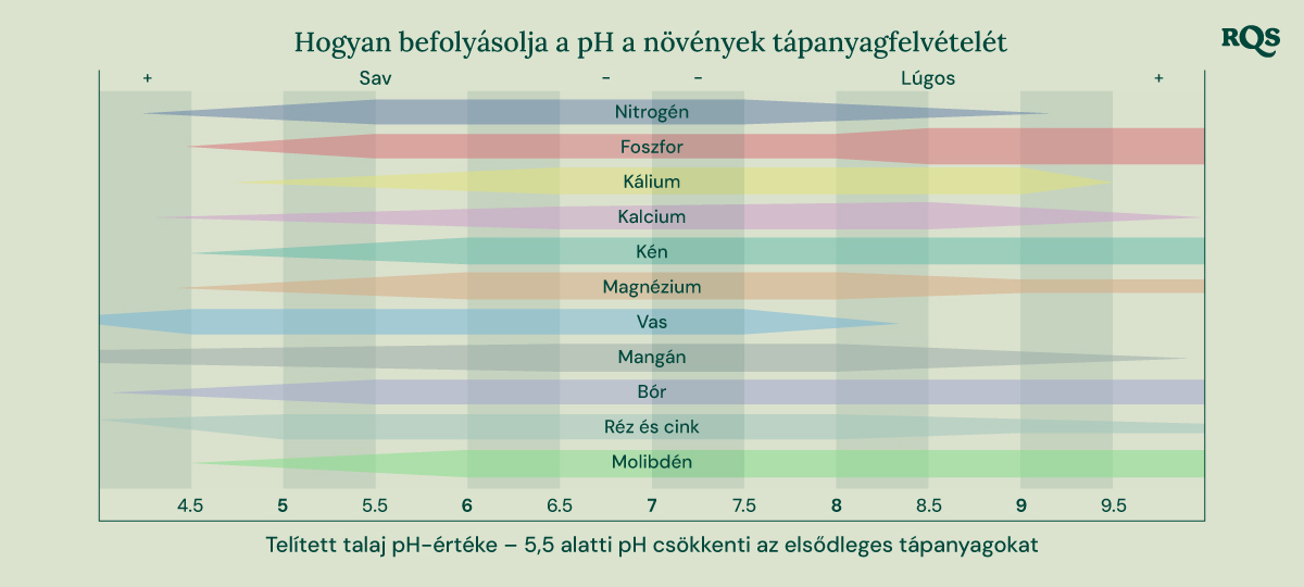 Oszlopdiagrammák, amelyek azt mutatják, hogyan befolyásolja a talaj pH-ja (4,5-9,5) a tápanyagok elérhetőségét, mint például nitrogén, foszfor, kálium, kalcium, kén, magnézium, vas, mangán, bóra, réz, cink és molibdén.