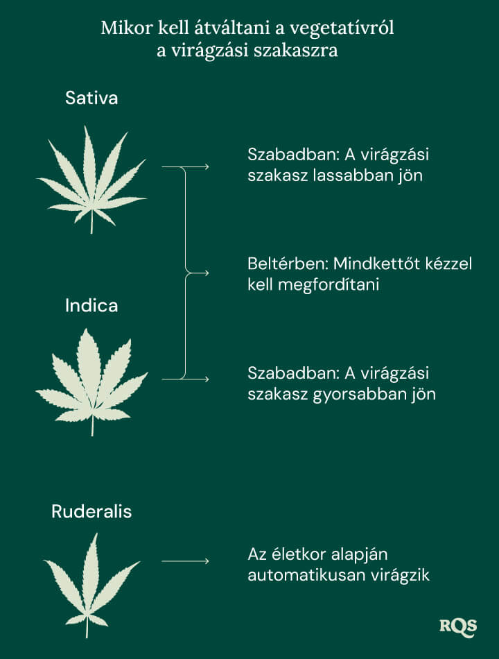 Switch ve to flowering