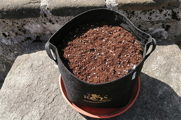 RQS Növénytartó Cseréptáska RQS Növénytartó Cseréptáska